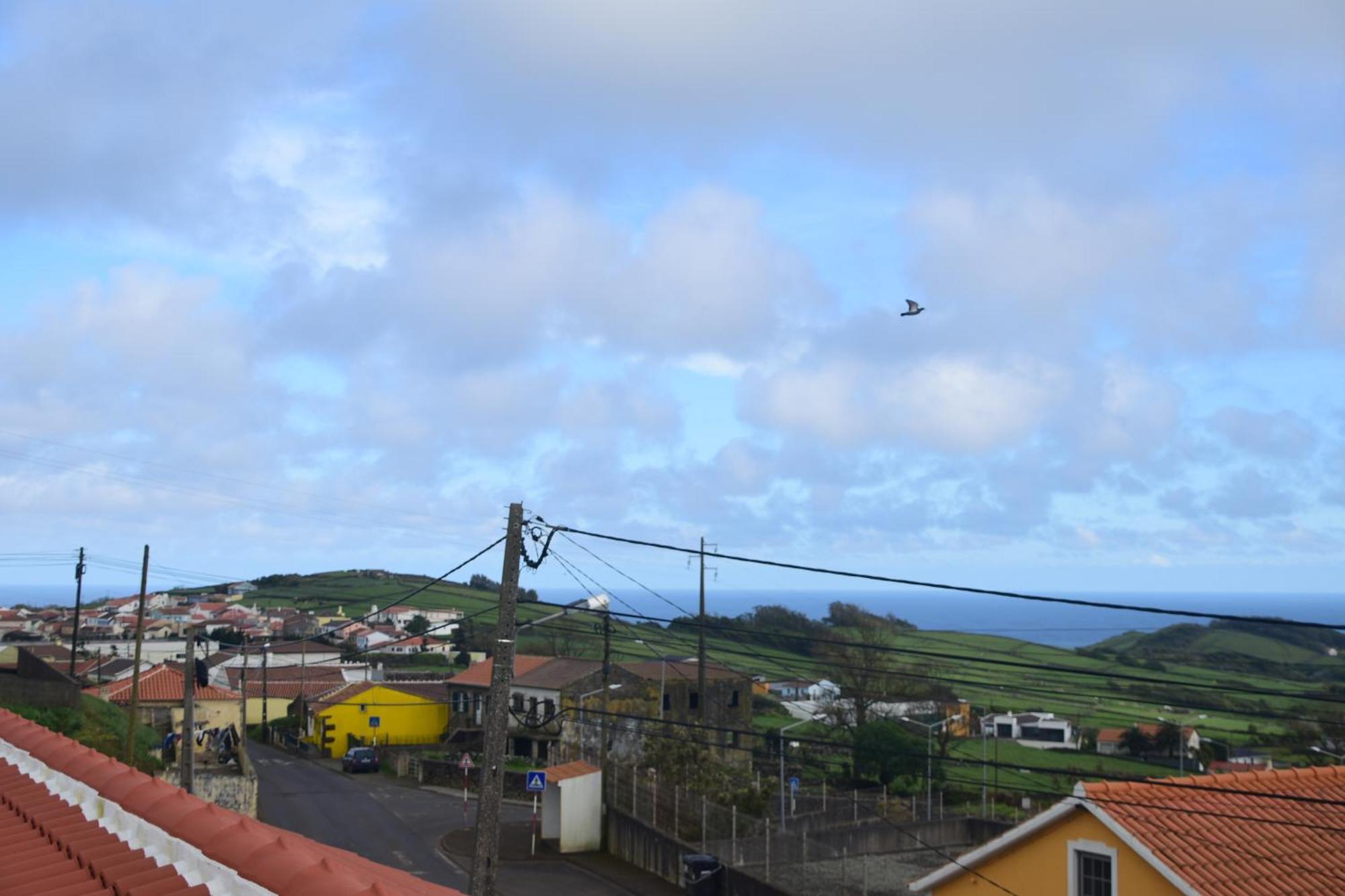 Casa Das Buganvilias Sao Sebastiao Eksteriør billede
